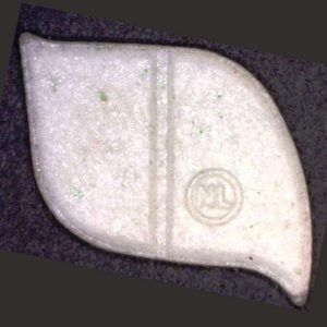 Buy White Dolphin XTC X10  x 1's