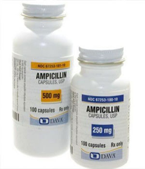 Buy Ampicillin (Principen) 500mg  x 1's